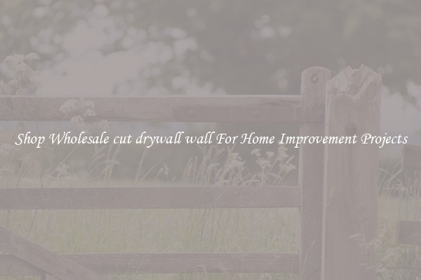 Shop Wholesale cut drywall wall For Home Improvement Projects
