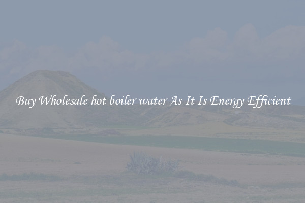 Buy Wholesale hot boiler water As It Is Energy Efficient
