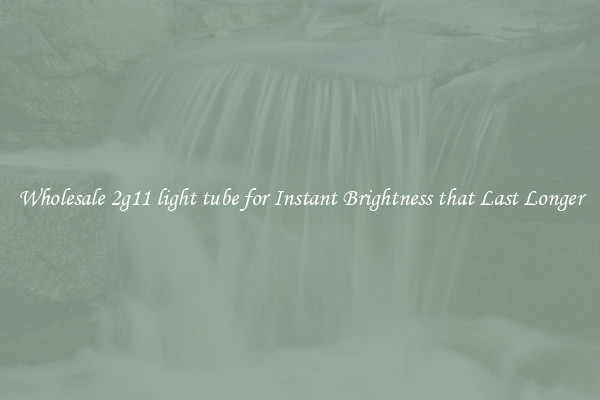 Wholesale 2g11 light tube for Instant Brightness that Last Longer