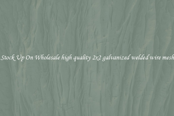Stock Up On Wholesale high quality 2x2 galvanized welded wire mesh