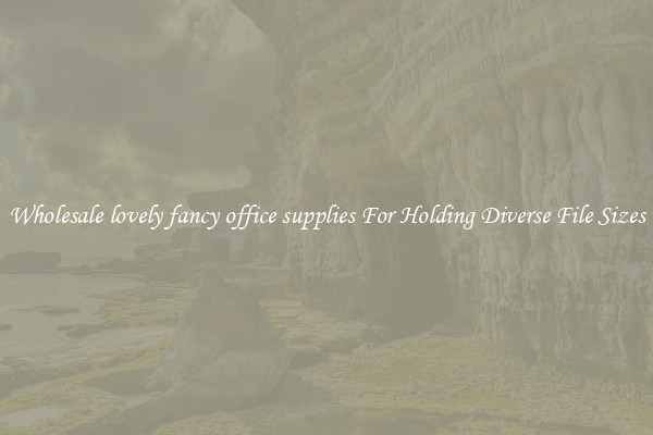 Wholesale lovely fancy office supplies For Holding Diverse File Sizes
