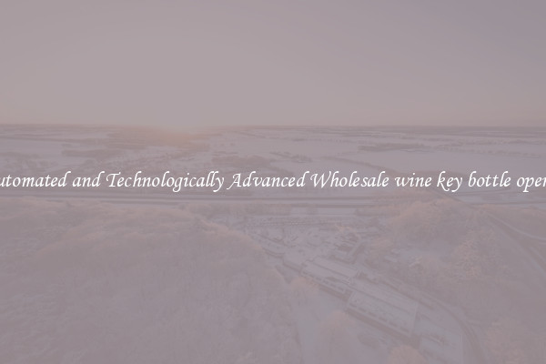 Automated and Technologically Advanced Wholesale wine key bottle opener