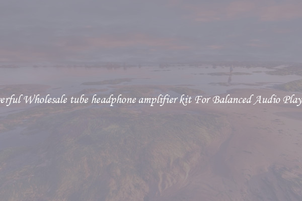 Powerful Wholesale tube headphone amplifier kit For Balanced Audio Playback