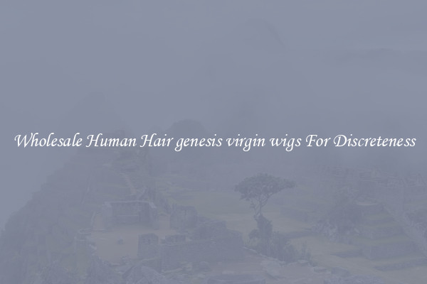 Wholesale Human Hair genesis virgin wigs For Discreteness