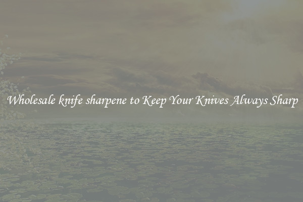 Wholesale knife sharpene to Keep Your Knives Always Sharp