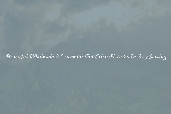 Powerful Wholesale 2.5 cameras For Crisp Pictures In Any Setting