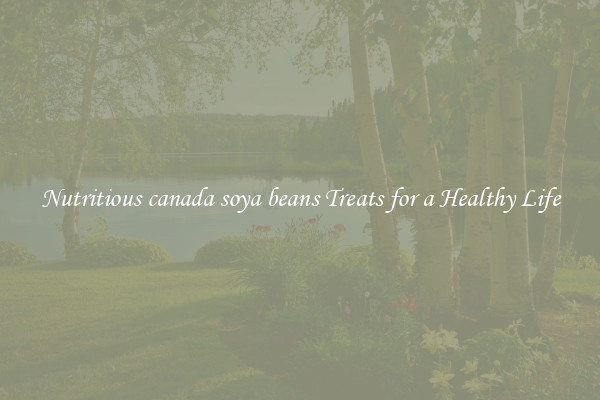 Nutritious canada soya beans Treats for a Healthy Life