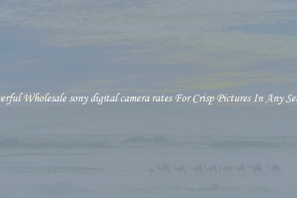Powerful Wholesale sony digital camera rates For Crisp Pictures In Any Setting