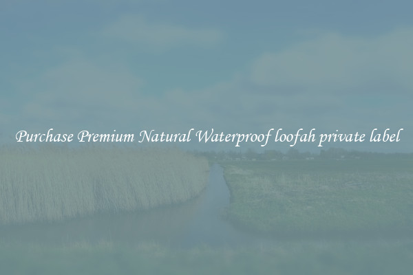 Purchase Premium Natural Waterproof loofah private label