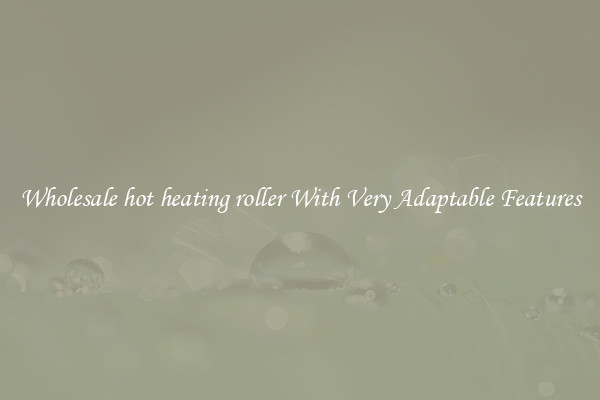 Wholesale hot heating roller With Very Adaptable Features