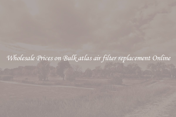 Wholesale Prices on Bulk atlas air filter replacement Online