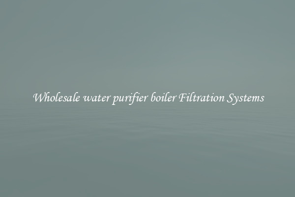 Wholesale water purifier boiler Filtration Systems