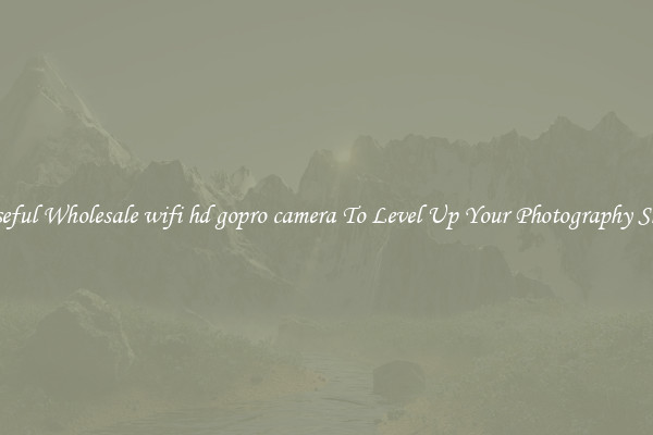Useful Wholesale wifi hd gopro camera To Level Up Your Photography Skill