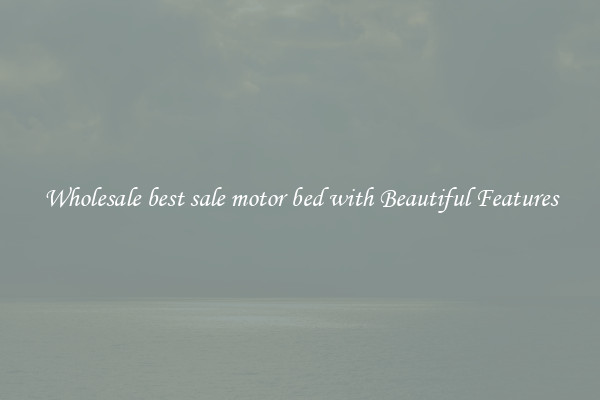 Wholesale best sale motor bed with Beautiful Features