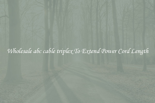 Wholesale abc cable triplex To Extend Power Cord Length