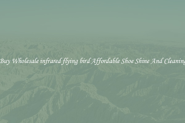 Buy Wholesale infrared flying bird Affordable Shoe Shine And Cleaning