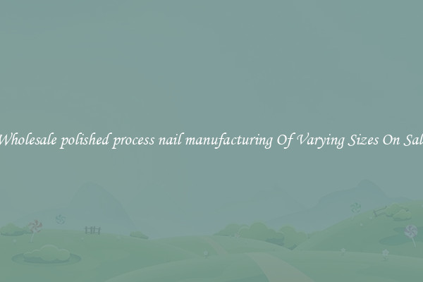 Wholesale polished process nail manufacturing Of Varying Sizes On Sale