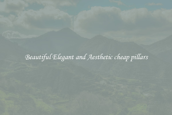 Beautiful Elegant and Aesthetic cheap pillars